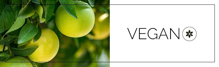 CATEGORY GENERIC Single Clean Beauty Vegan