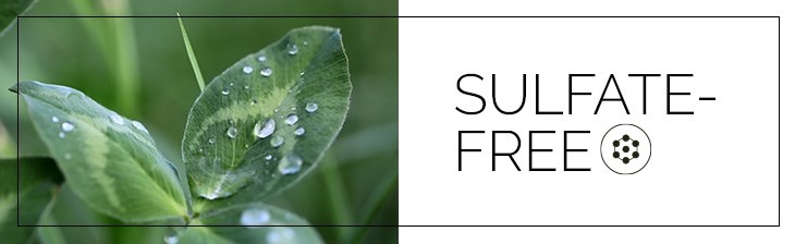 CATEGORY GENERIC Single Clean Beauty Sulfate-Free