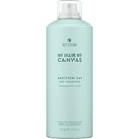 ALTERNA Professional ANOTHER DAY DRY SHAMPOO 5 Fl. Oz.