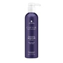 ALTERNA Professional Masque 16 Fl. Oz.