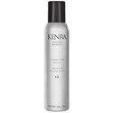 Kenra Professional Volume Mousse 12 8 Fl. Oz.