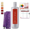 Schwarzkopf Professional IGORA ROYAL Fashion Lights Lift + Tone Kit
