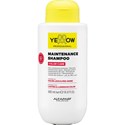 Yellow Professional MAINTENANCE SHAMPOO 16.9 Fl. Oz.